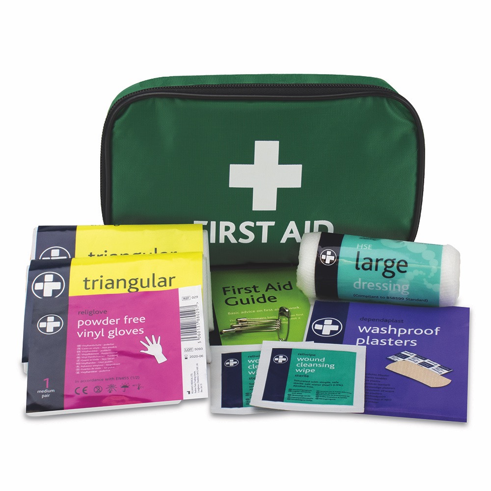 HSE 1 Person Kit in Small Green Pouch 