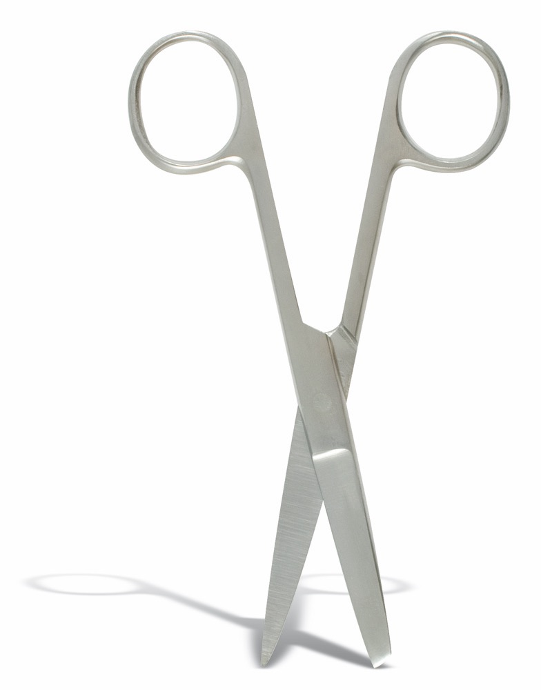 Nurses Scissors , S/B Stainless Steel, 5