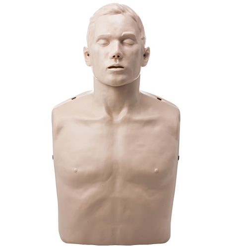 Brayden Adult Male Manikin with White Illumination