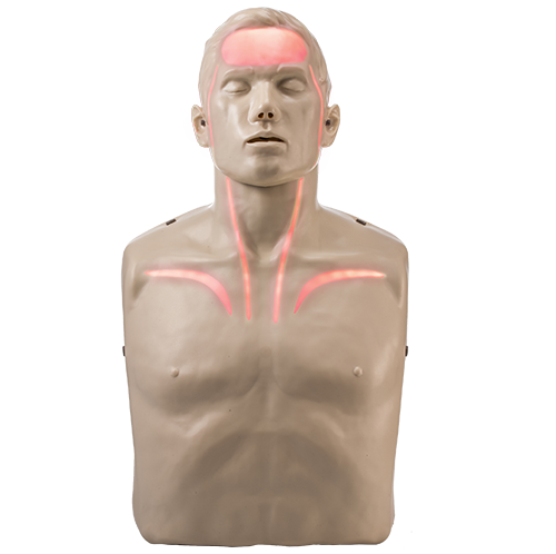 BRAYDEN Pro ADULT MALE MANIKIN WITH RED ILLUMINATION