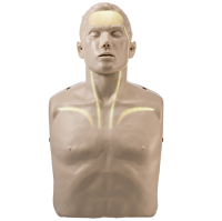 Brayden Adult Male Manikin with White Illumination