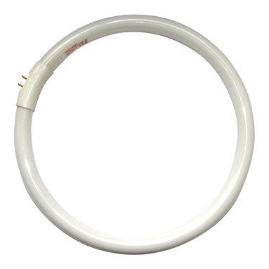 Daylight 28W Circular Fluorescent Tube